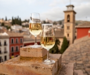 Giá rượu vang Tây Ban Nha nhập khẩu hiện nay