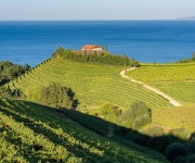 Khám phá hương vị độc đáo và nét đẹp của rượu vang Tây Ban Nha