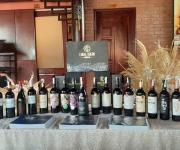 Thưởng Vang Mùa Hè: Gợi Ý Những Loại Rượu Vang Tuyệt Vời Cho Ngày Nóng