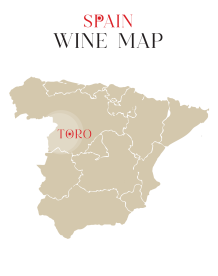 Rượu vang Tây Ban Nha Grace Harvest Reserva Toro