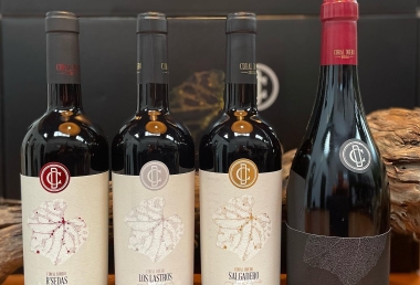 Top 5 Rượu Vang Tây Ban Nha Ngon Nhất Cho Các Dịp Đặc Biệt