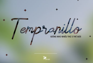 Cùng Tân Phát tìm hiểu về giống nho Tempranillo