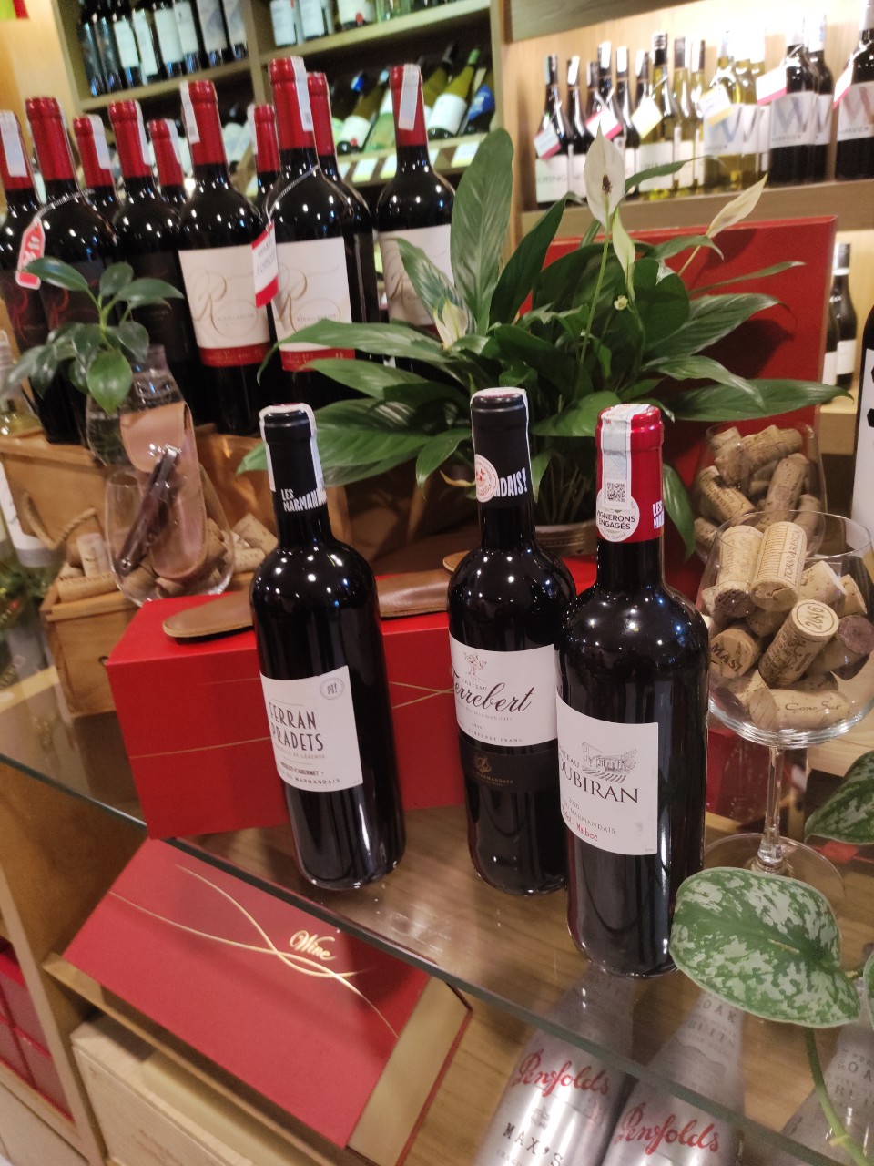 Ẩm thực và rượu vang Pháp | khoruou.vn